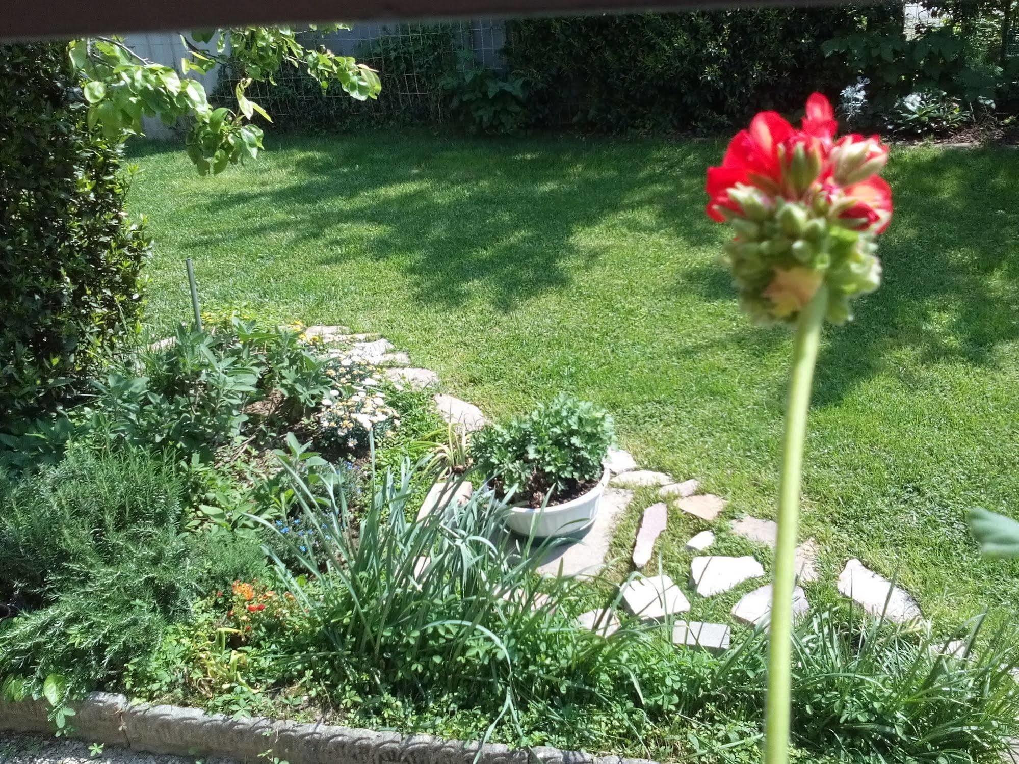 Bed and Breakfast Casa Emanuela Piazzola sul Brenta Exteriér fotografie